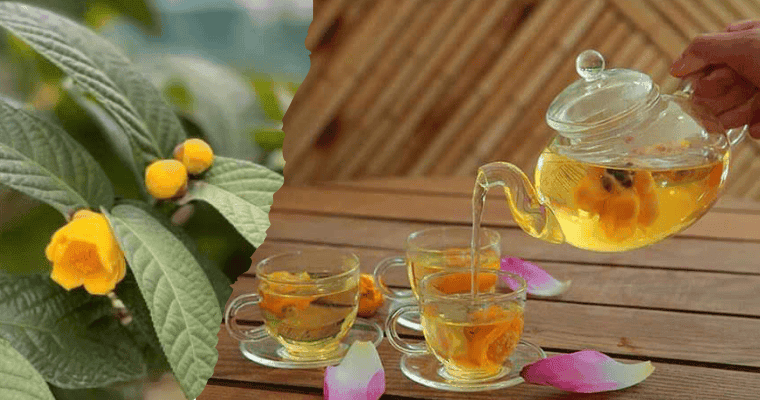 Bảo quản Trà hoa vàng hiệu quả với 8 bí quyết này