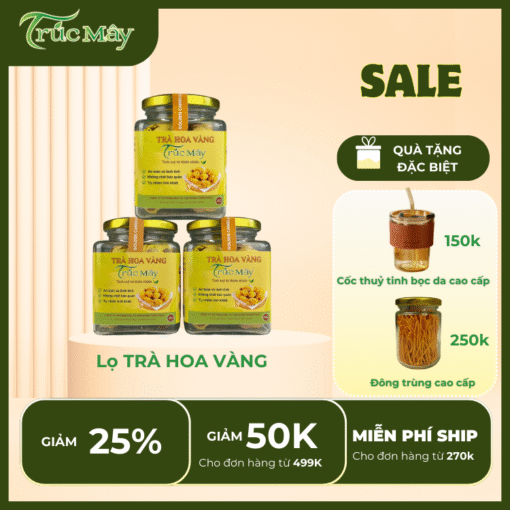 Trà Hoa Vàng - Lọ bông Trà Hoa Vàng