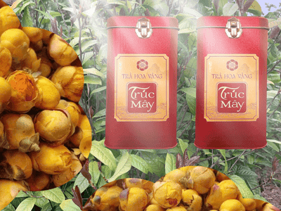 Trà hoa vàng Trúc Mây - Tinh túy từ thiên nhiên