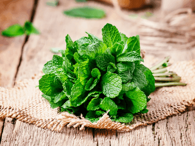 Thảo mộc tự nhiên