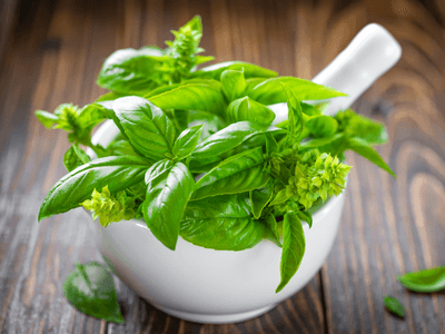 Thảo mộc tự nhiên