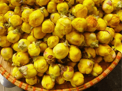 Trà hoa vàng - Thảo dược tự nhiên - an toàn lành tính (ảnh minh hoạ)
